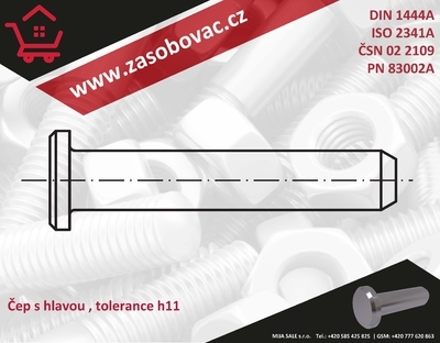 P 5x 20 DIN 1444A - ocel - Čep s hlavou, tolerance h11 - 1