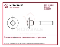 DIN 603 M10x 65 - 4.6 -Šroub vratový s velkou zaoblenou hlavou a čtyřhranem- zinek bílý
 - 2/2